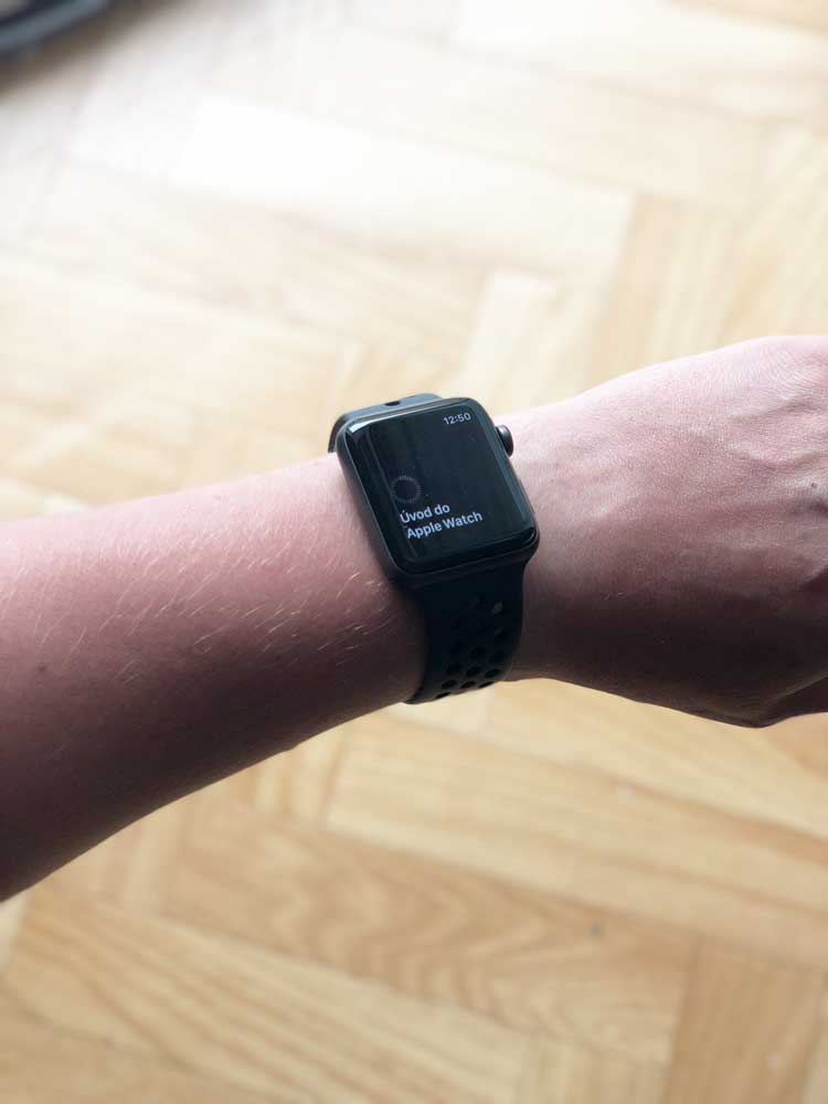 istyle apple watch 4