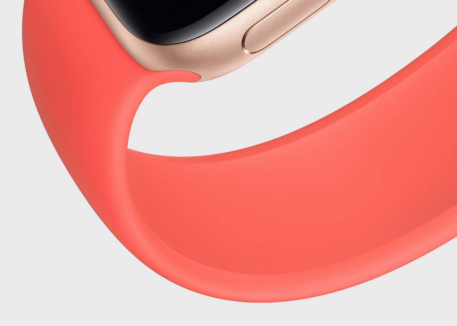 apple watch se with solo loop